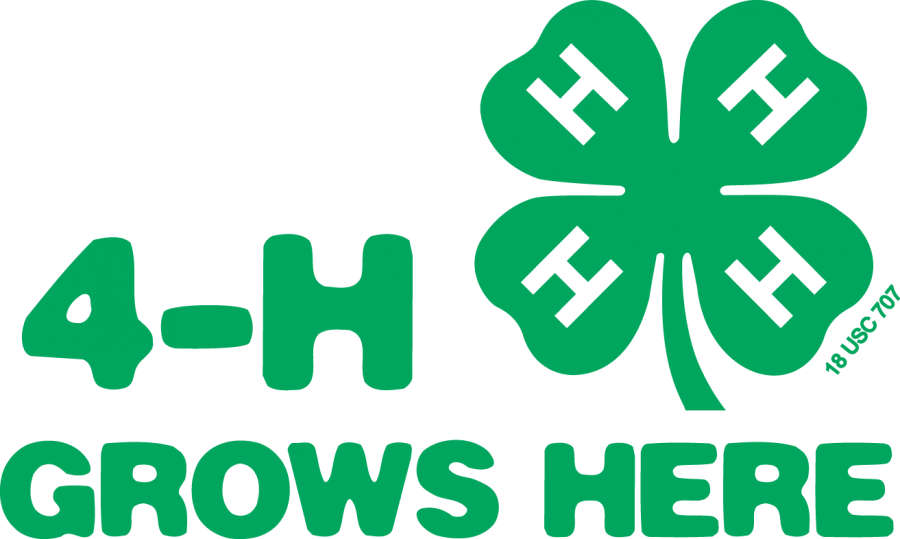 Why You Should Join 4-H
