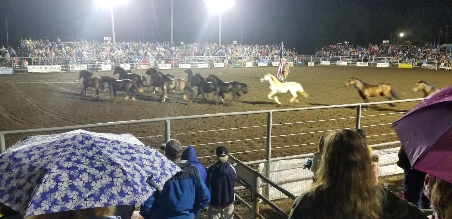The Rodeo Is Back In Swing! – Pioneer Pages