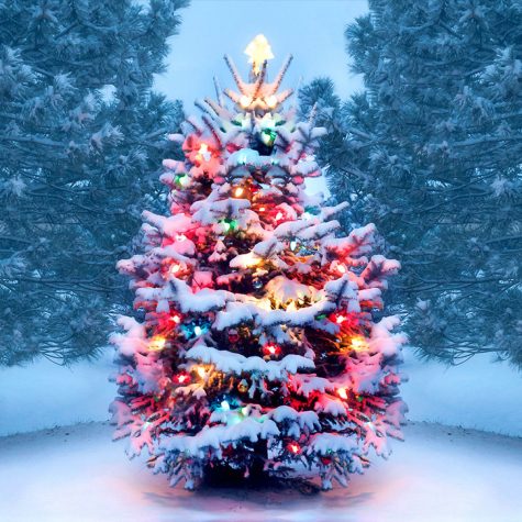 Pay It Forward: Christmas tree
