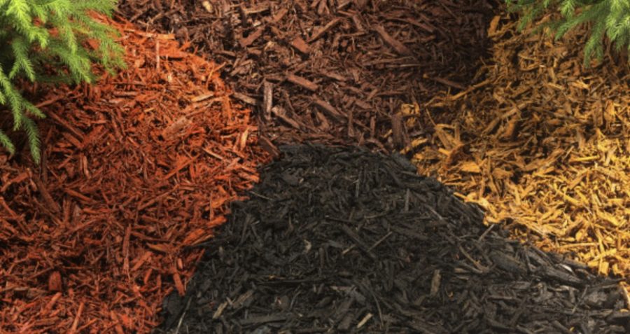 Best Types of Mulch to put in Your Landscaping