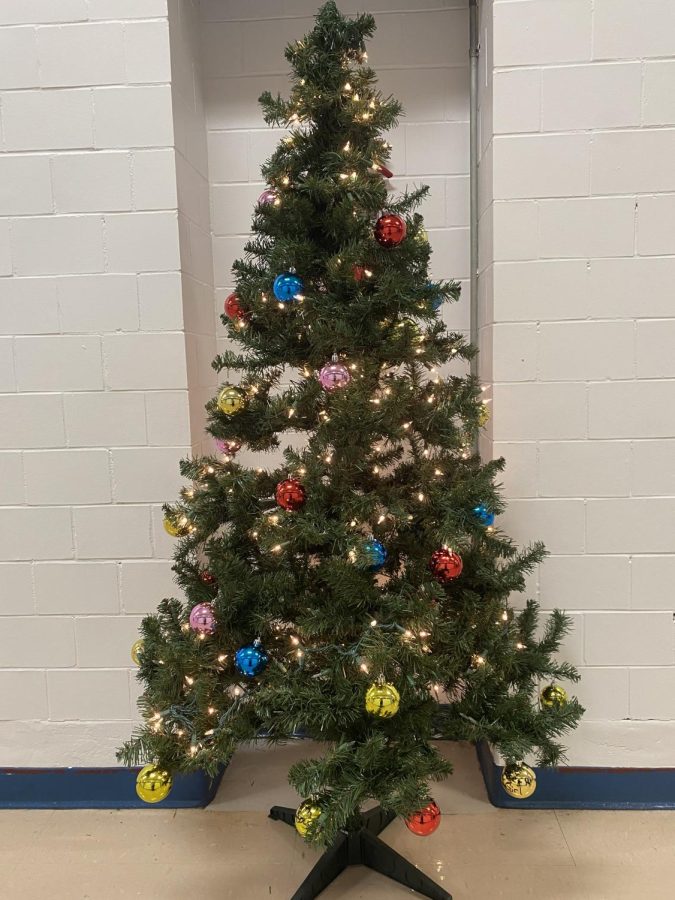 This tree is placed in the main hallway, you cant miss it!