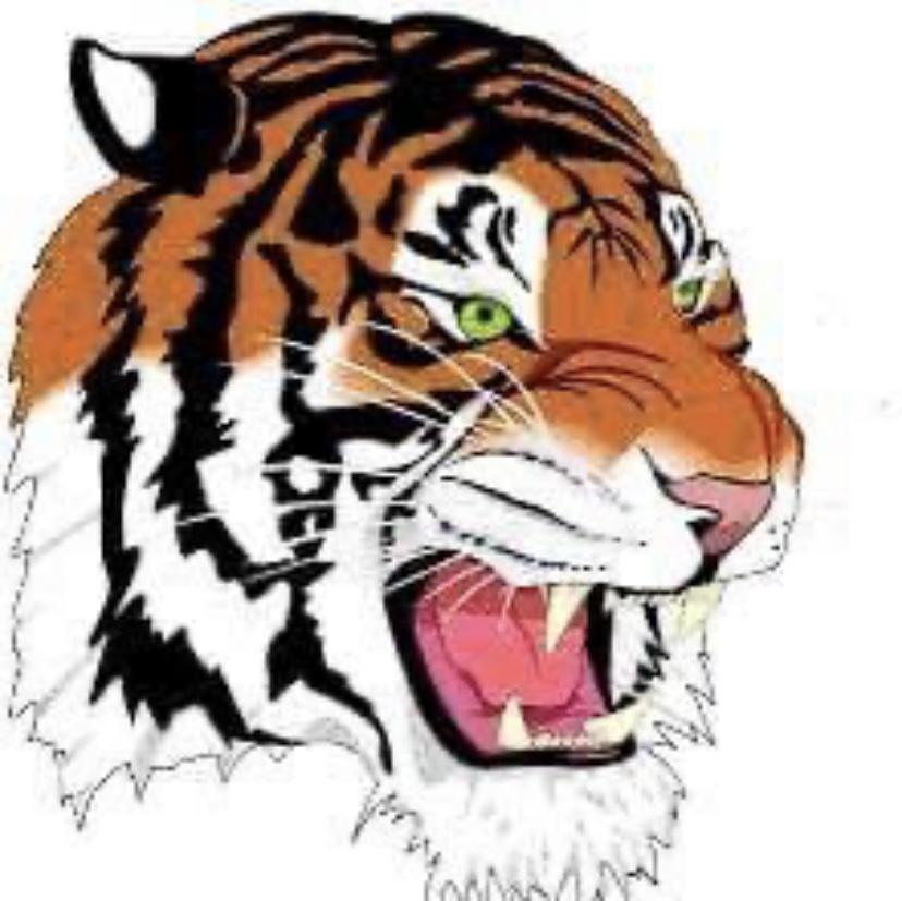 Tiger Mascot 