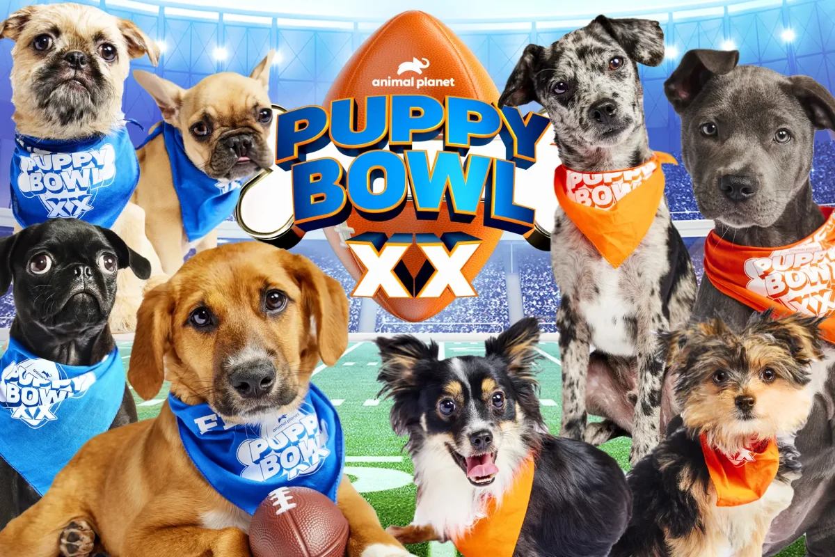 Puppy Bowl XX