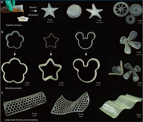 Processability and formability of BM-plastics for diverse products.