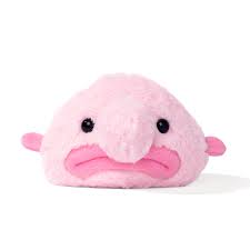 Fun Facts About Blobfish!