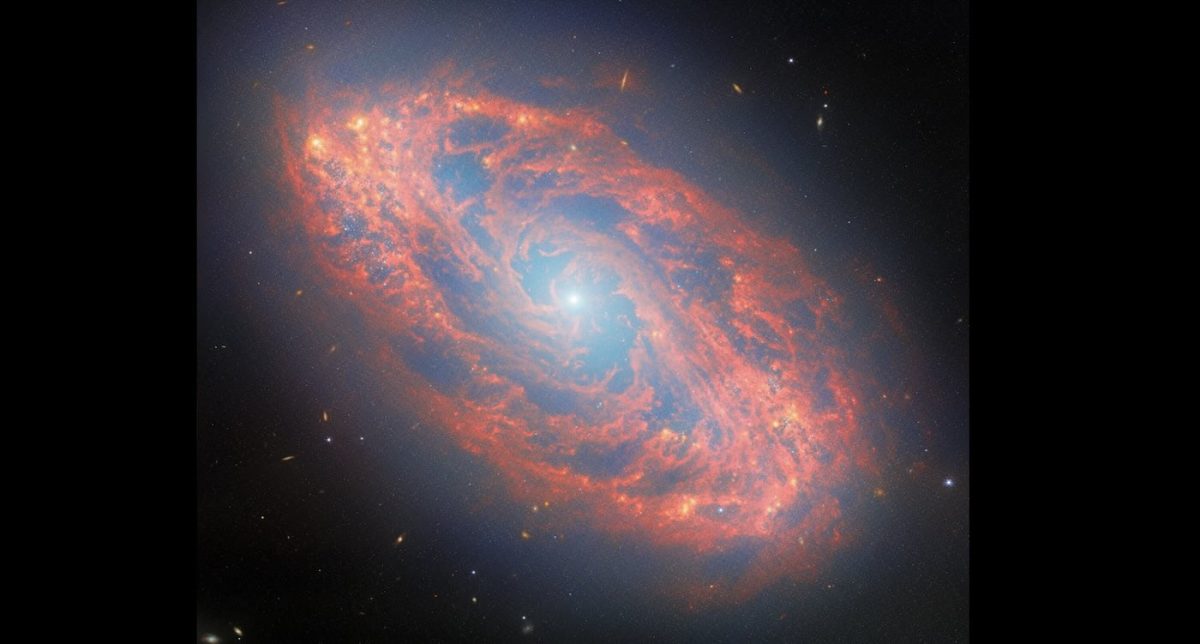Spiral galaxy NGC 5134 in the constellation Virgo is 65 million light-years away –NASA/ESA/CSA via SWNS
