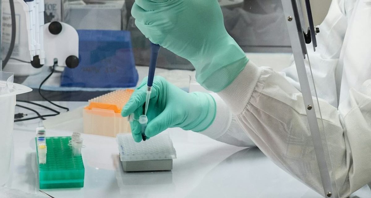 File photo – Credit: CDC